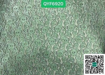 QYF6920